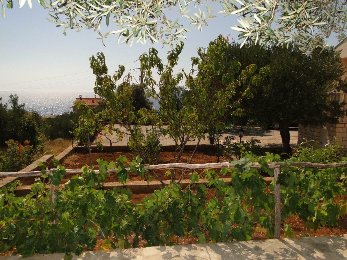Zele Apartment Dolac Luaran gambar